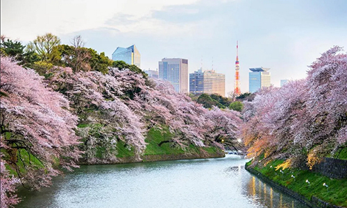 Hotels in Tokyo, Japan 